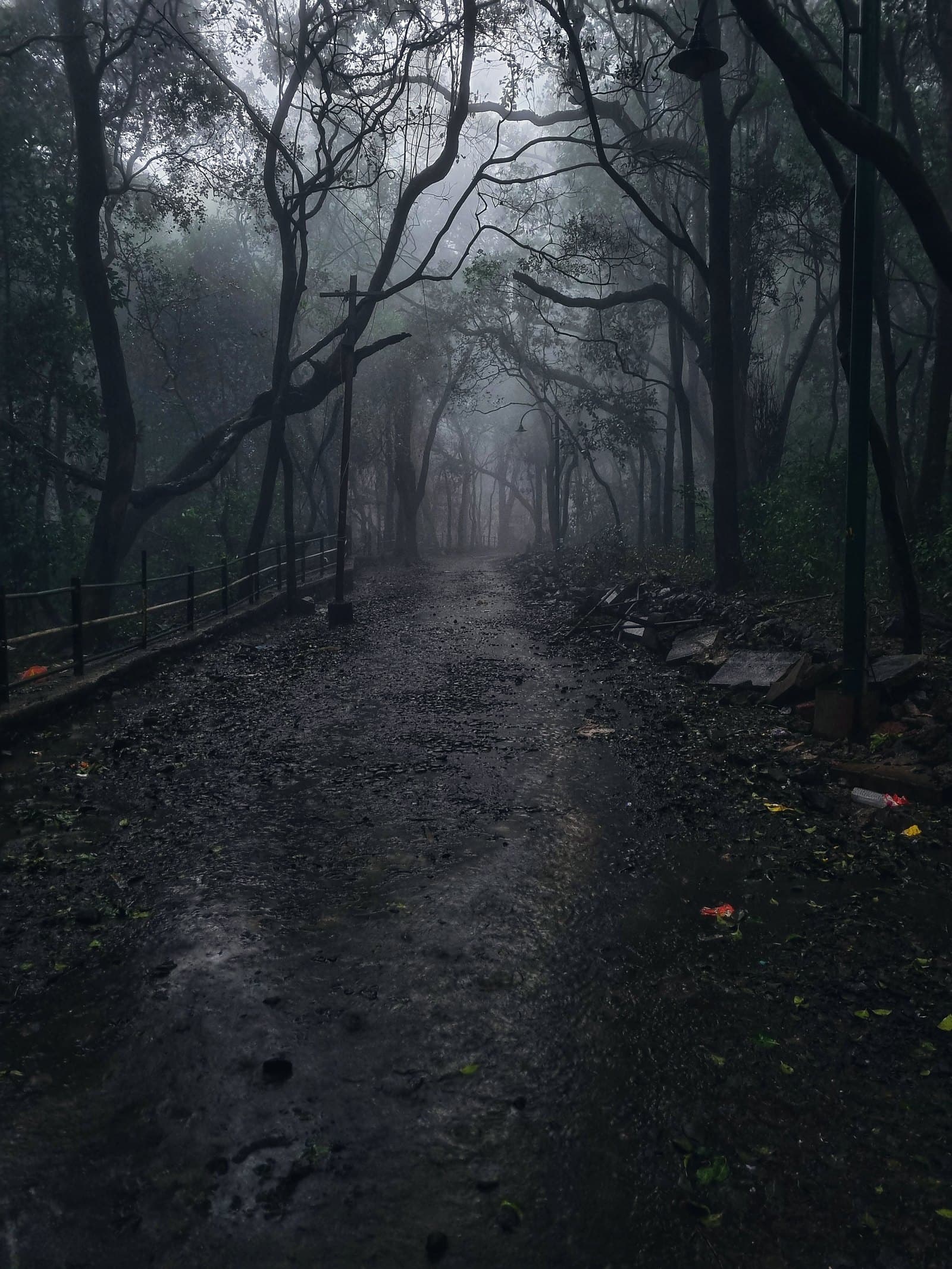 A misty forest path in Matheran on a rainy day